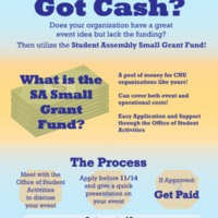2.33 G-1 SA Small Grant Fund 2016