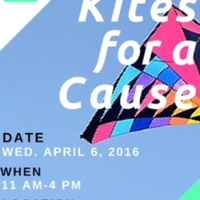 2.33 G-1 Kites for a Cause 2016