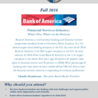 2.33 G-1 Slice of Business bofam 2016