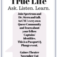 2.33 G-1 true_life 112015.png
