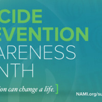 2.33 G-1 NAMI Suicide Prevention Awareness Fall 2016.jpg