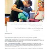 summer scholar1.pdf