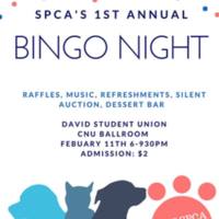 2.33 G-1 spcabingonight 2016