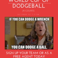 2.33 G-1 attach ifyoucandodge sept2015.jpg