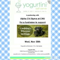 2.33 G-1 ACS Yogurtini Fundraiser 112016