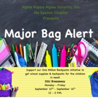 2.33 G-1 AKA Major Bag Alert 2016.pdf