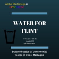 2.33 G-1 waterforflint2 2016