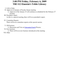 4.3 A FS Agenda February 6, 2009.pdf