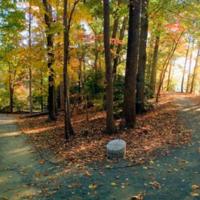 2.33 G-1 attach noland_trail fall2015.jpg