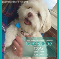 2.33 G-1 attach paws__relax2015.jpg