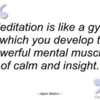 2.33 G-1 attach meditationlikegym2015.jpg