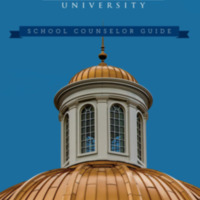 counselor 17.pdf