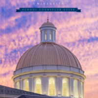 counselor 19.pdf