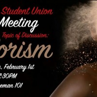 2.33 G-1 BSUcolorism 2016