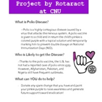 2.33 G-1 attachpurplepinkieproject.pdf