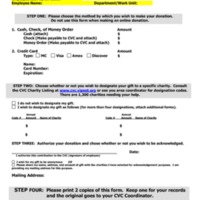 2.2 G CVC'PledgeForm' attach 2011.pdf
