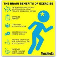 2.33 G-1 brain_benefits 112015.jpg