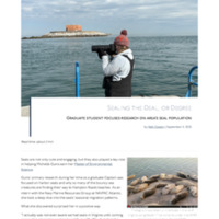 seals.pdf
