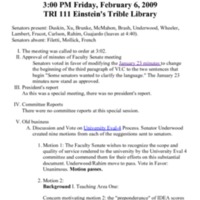 4.3 B FS Minutes February 6, 2009.pdf