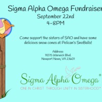 2.33 G-1 SAO snoball fundraiser 2016